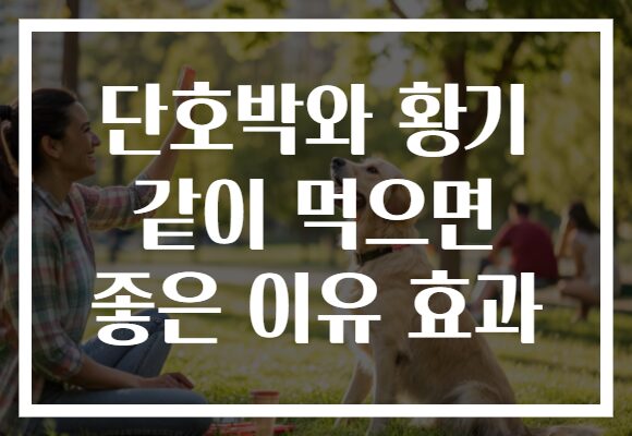 단호박와 황기 같이 먹으면 좋은 이유 효과