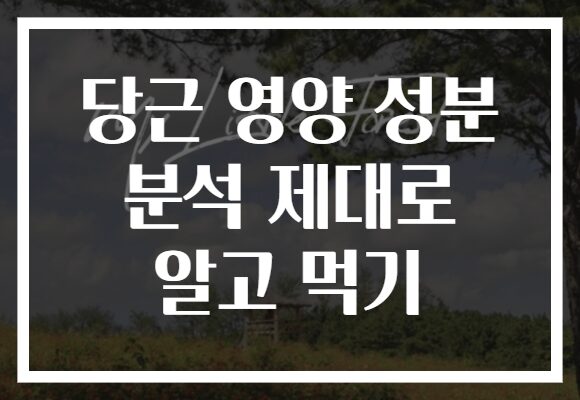 당근 영양 성분 분석 제대로 알고 먹기