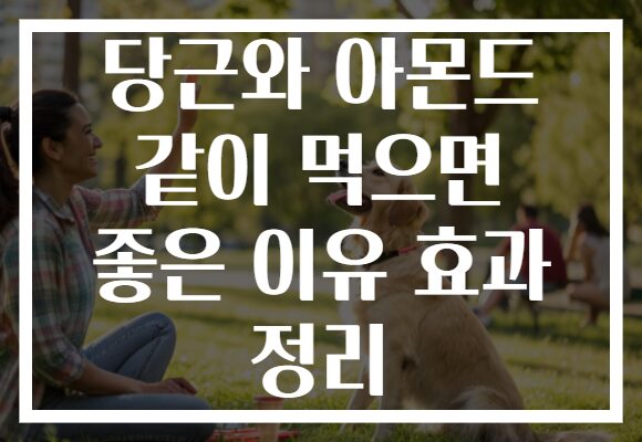 당근와 아몬드 같이 먹으면 좋은 이유 효과 정리