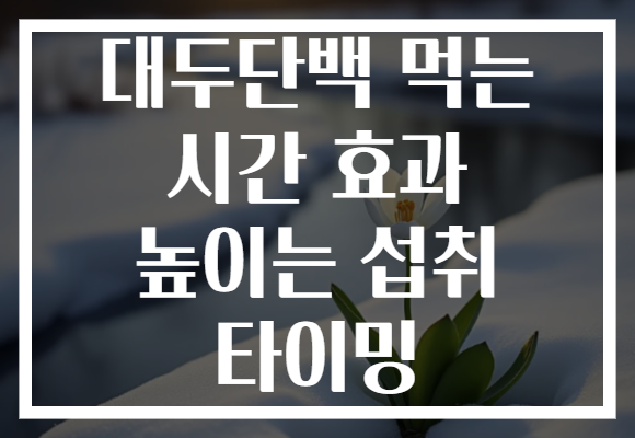 대두단백 먹는 시간 효과 높이는 섭취 타이밍