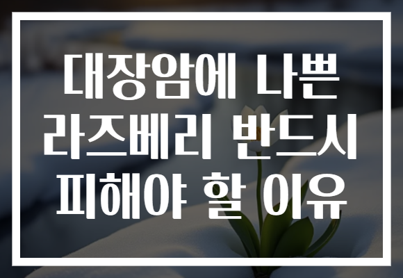 대장암에 나쁜 라즈베리 반드시 피해야 할 이유