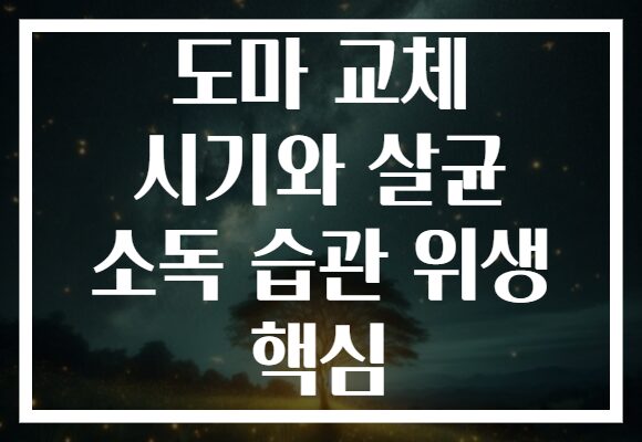 도마 교체 시기와 살균 소독 습관 위생 핵심
