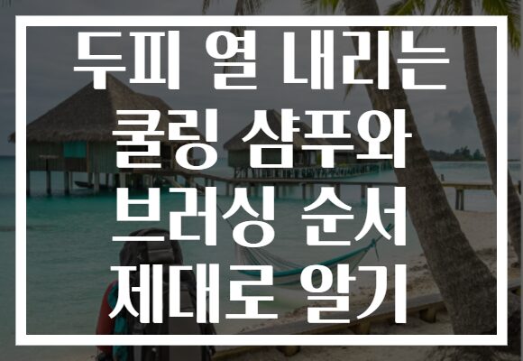 두피 열 내리는 쿨링 샴푸와 브러싱 순서 제대로 알기