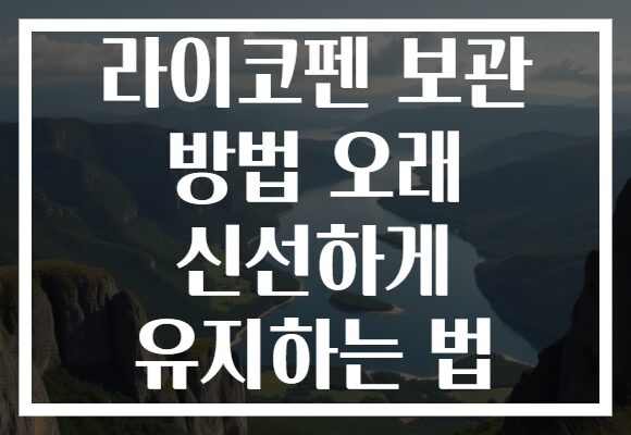 라이코펜 보관 방법 오래 신선하게 유지하는 법