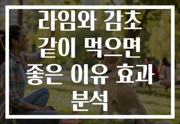 라임와 감초 같이 먹으면 좋은 이유 효과 분석