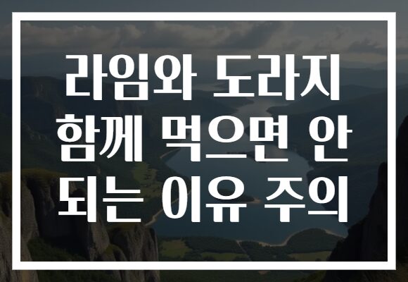 라임와 도라지 함께 먹으면 안 되는 이유 주의