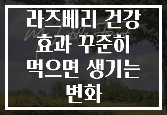 라즈베리 건강 효과 꾸준히 먹으면 생기는 변화