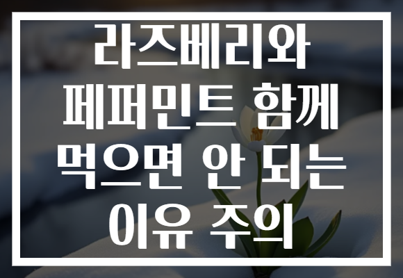 라즈베리와 페퍼민트 함께 먹으면 안 되는 이유 주의