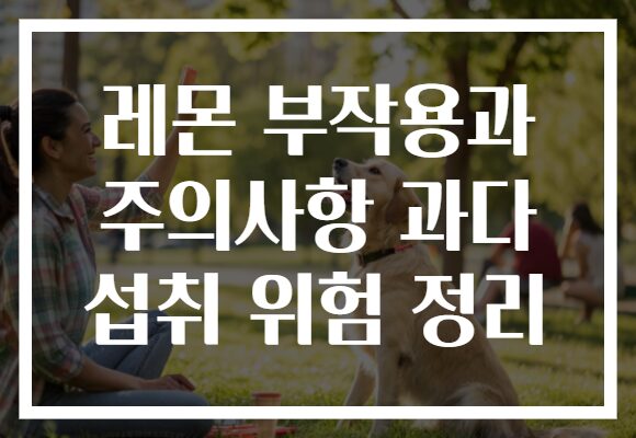 레몬 부작용과 주의사항 과다 섭취 위험 정리