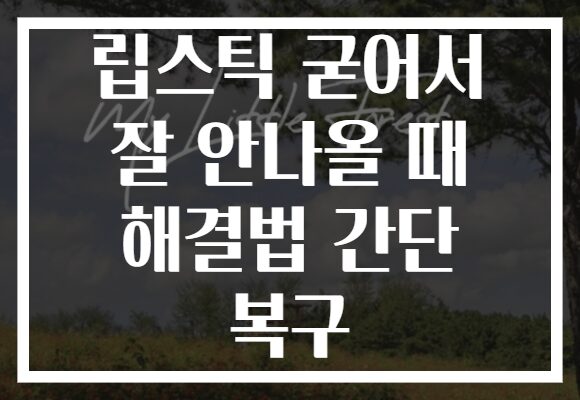 립스틱 굳어서 잘 안나올 때 해결법 간단 복구