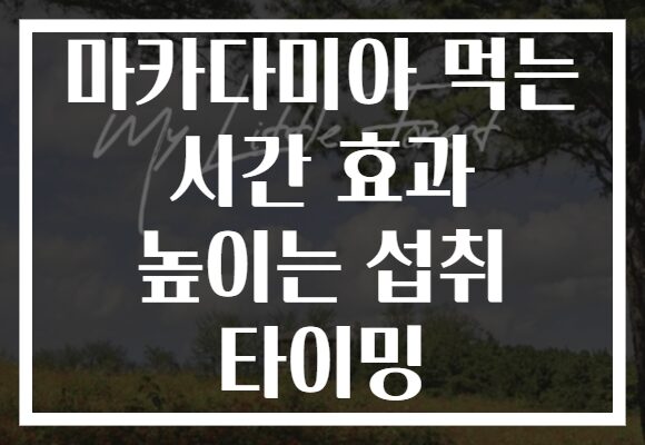 마카다미아 먹는 시간 효과 높이는 섭취 타이밍