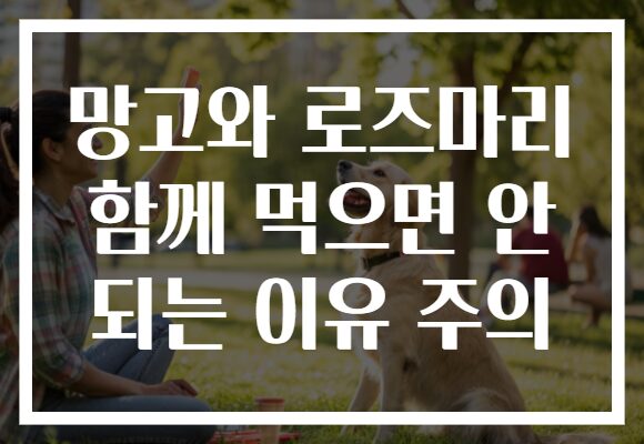 망고와 로즈마리 함께 먹으면 안 되는 이유 주의