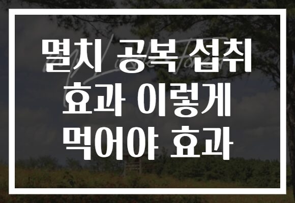 멸치 공복 섭취 효과 이렇게 먹어야 효과