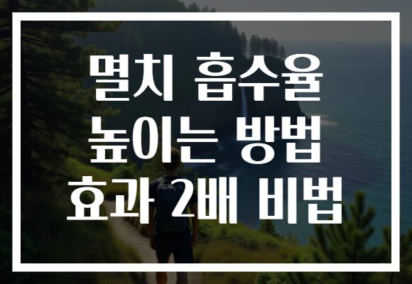 멸치 흡수율 높이는 방법 효과 2배 비법