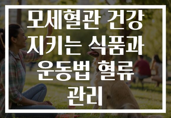 모세혈관 건강 지키는 식품과 운동법 혈류 관리