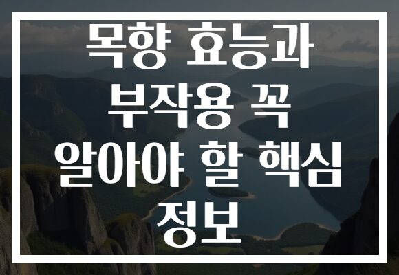 목향 효능과 부작용 꼭 알아야 할 핵심 정보