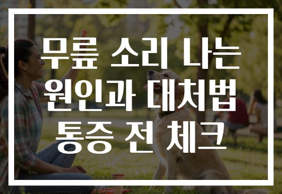 무릎 소리 나는 원인과 대처법 통증 전 체크