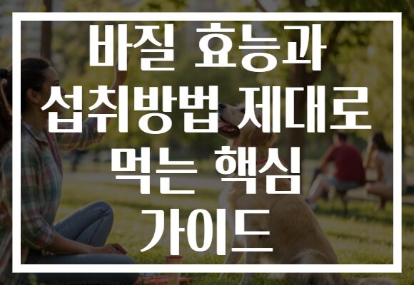 바질 효능과 섭취방법 제대로 먹는 핵심 가이드