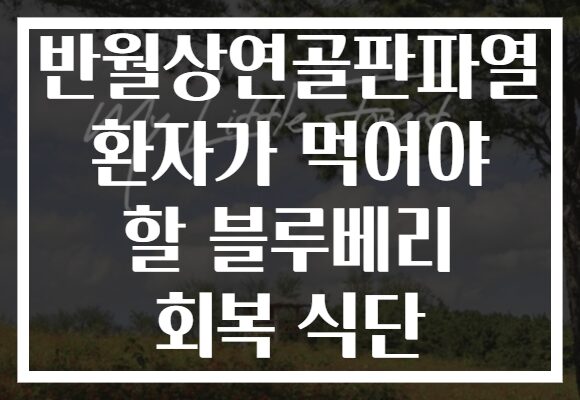 반월상연골판파열 환자가 먹어야 할 블루베리 회복 식단
