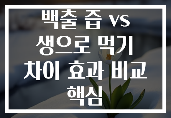백출 즙 vs 생으로 먹기 차이 효과 비교 핵심