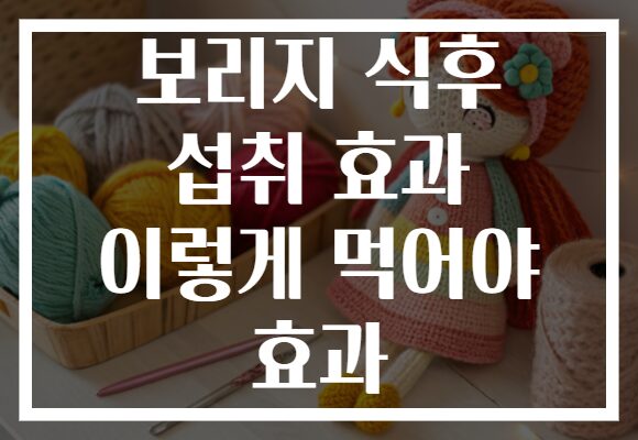보리지 식후 섭취 효과 이렇게 먹어야 효과