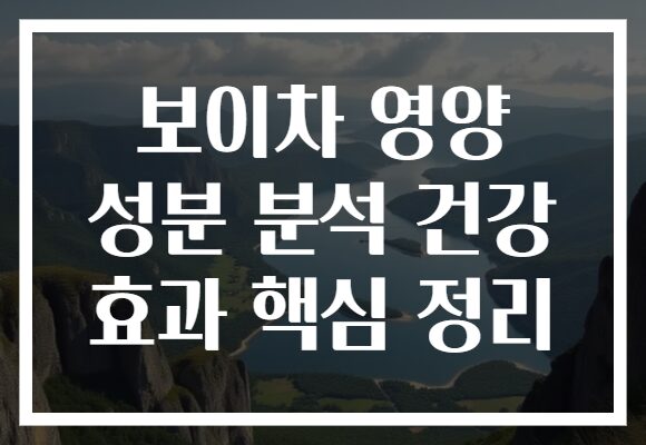 보이차 영양 성분 분석 건강 효과 핵심 정리