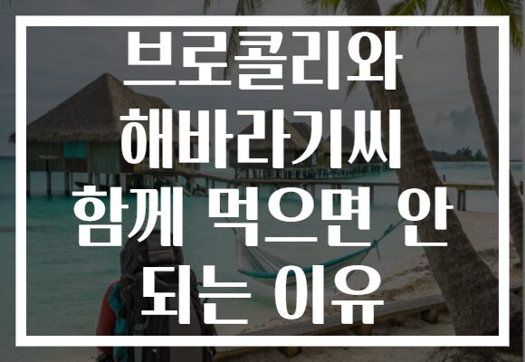 브로콜리와 해바라기씨 함께 먹으면 안 되는 이유