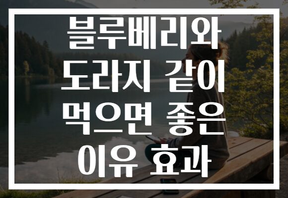 블루베리와 도라지 같이 먹으면 좋은 이유 효과