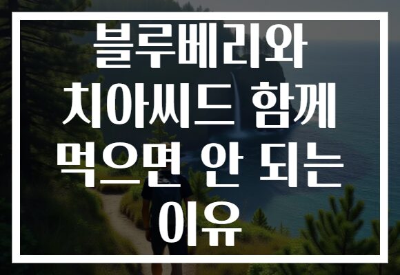 블루베리와 치아씨드 함께 먹으면 안 되는 이유