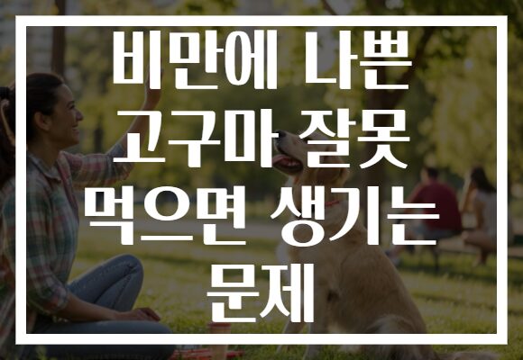 비만에 나쁜 고구마 잘못 먹으면 생기는 문제