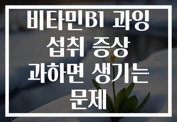 비타민B1 과잉 섭취 증상 과하면 생기는 문제
