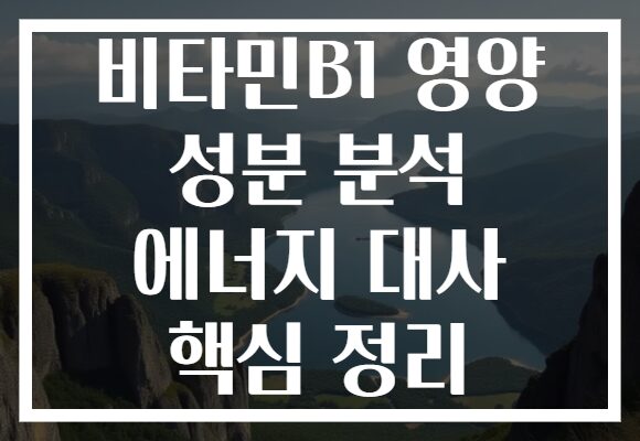 비타민B1 영양 성분 분석 에너지 대사 핵심 정리