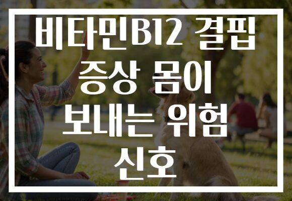 비타민B12 결핍 증상 몸이 보내는 위험 신호