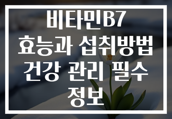 비타민B7 효능과 섭취방법 건강 관리 필수 정보