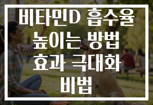 비타민D 흡수율 높이는 방법 효과 극대화 비법
