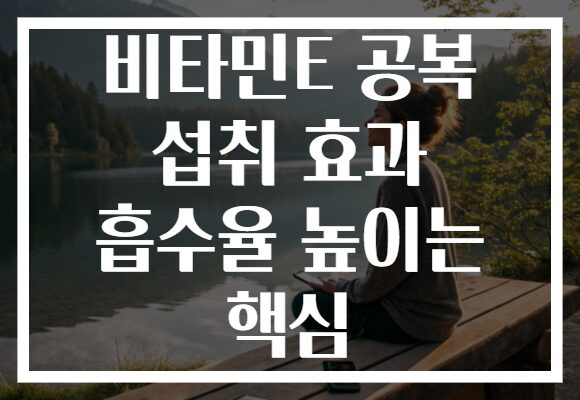 비타민E 공복 섭취 효과 흡수율 높이는 핵심