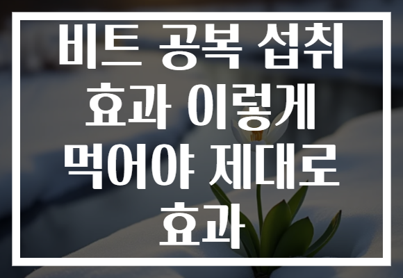 비트 공복 섭취 효과 이렇게 먹어야 제대로 효과