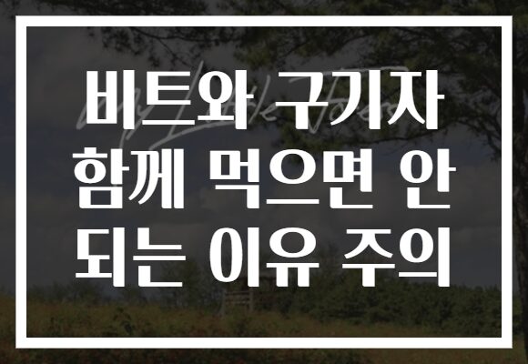 비트와 구기자 함께 먹으면 안 되는 이유 주의