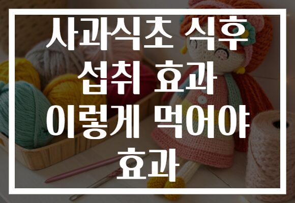 사과식초 식후 섭취 효과 이렇게 먹어야 효과