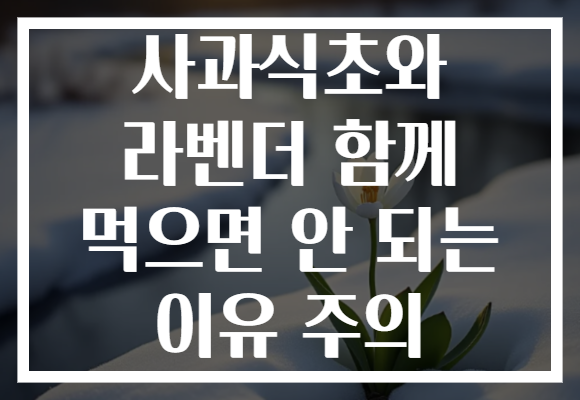 사과식초와 라벤더 함께 먹으면 안 되는 이유 주의