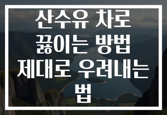 산수유 차로 끓이는 방법 제대로 우려내는 법
