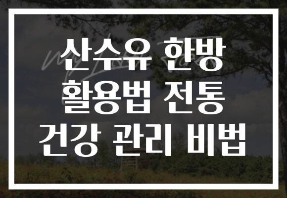 산수유 한방 활용법 전통 건강 관리 비법