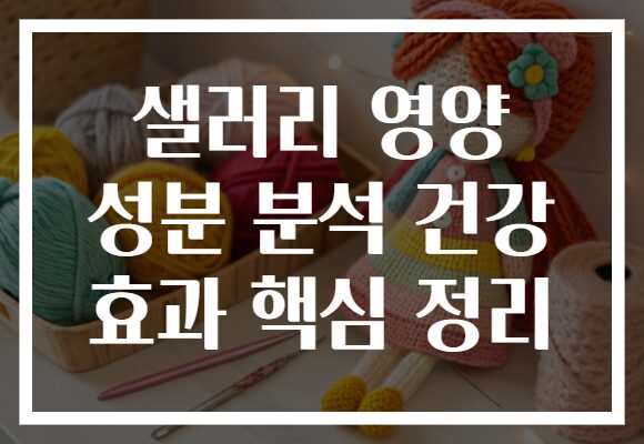 샐러리 영양 성분 분석 건강 효과 핵심 정리