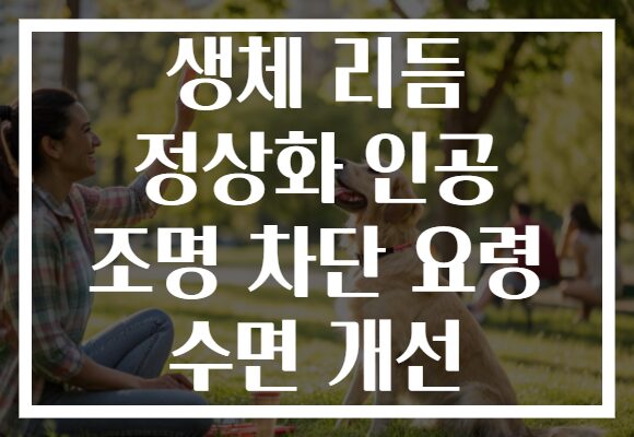 생체 리듬 정상화 인공 조명 차단 요령 수면 개선