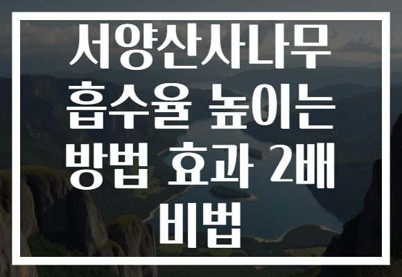 서양산사나무 흡수율 높이는 방법 효과 2배 비법