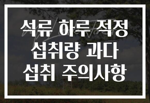 석류 하루 적정 섭취량 과다 섭취 주의사항