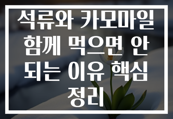 석류와 카모마일 함께 먹으면 안 되는 이유 핵심 정리