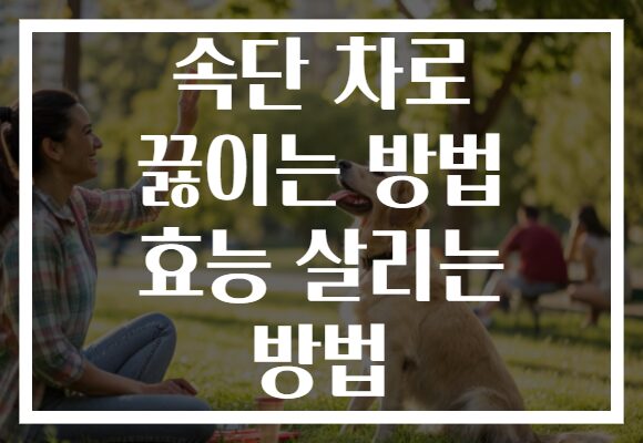 속단 차로 끓이는 방법 효능 살리는 방법