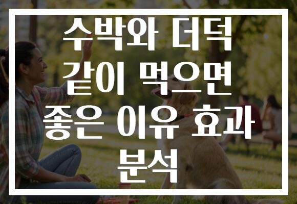 수박와 더덕 같이 먹으면 좋은 이유 효과 분석