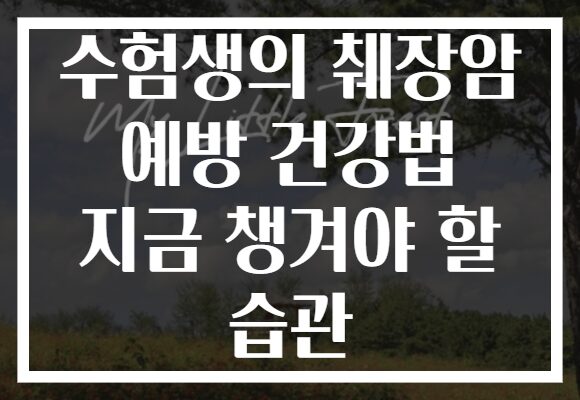 수험생의 췌장암 예방 건강법 지금 챙겨야 할 습관